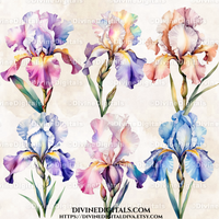 Lush Watercolor Irises Clipart Images Digital Download