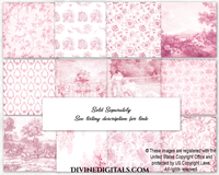 Antique Pink Frames Scrapbooking Journaling Collage